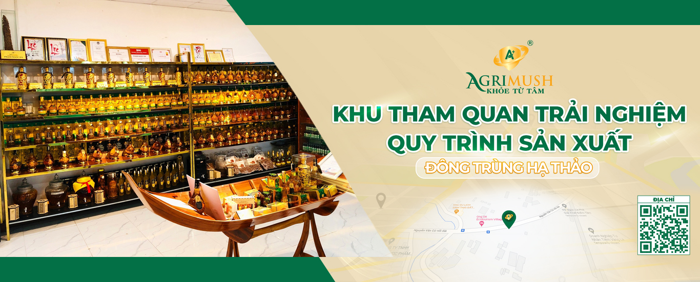 Khu tham quan trải nghiệm quy trình sản xuất Đông trùng hạ thảo